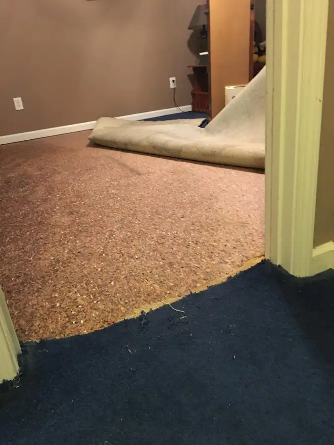 Carpet pad removal revealing water damage during Drying & Dehumidification in Morehead City