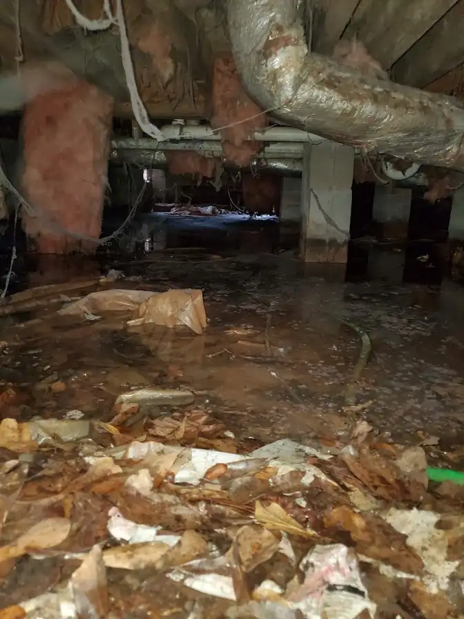 Crawl space flood assessment for Commercial Water Damage Restoration in Morehead City